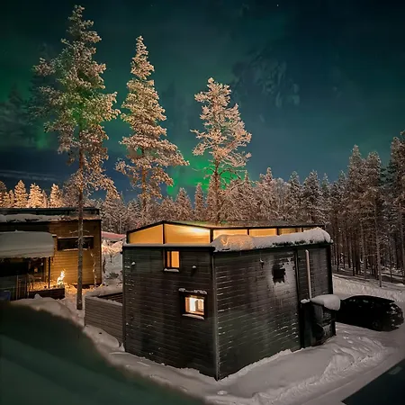 Aurora Igloo Levi