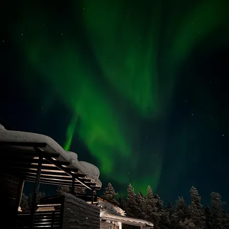 Aurora Igloo Levi